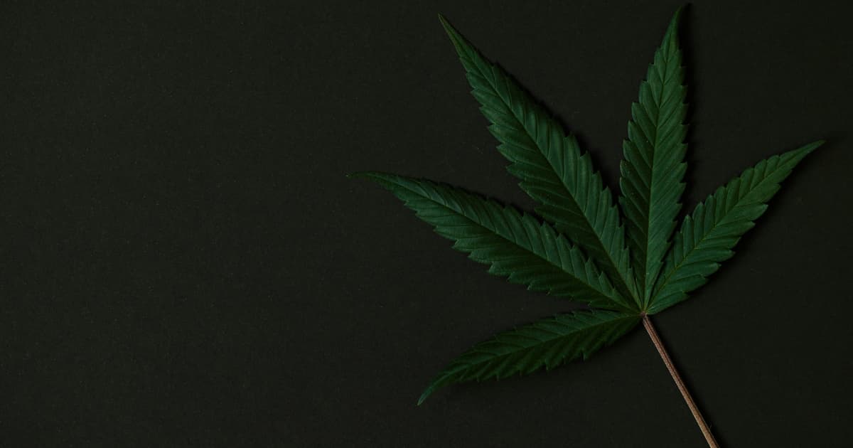 Trump Supports Hemp THC Ban in Spending Bill Reopening Government