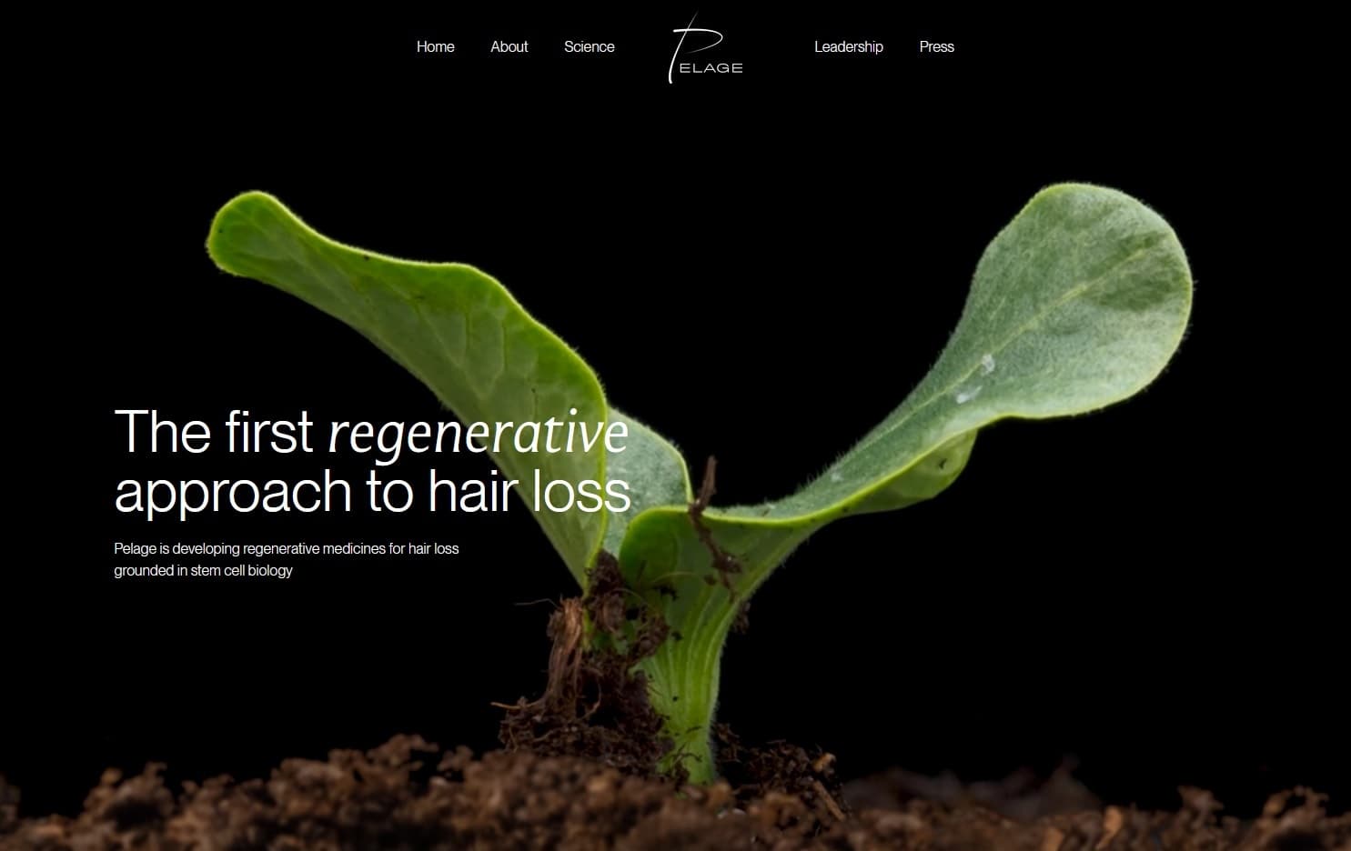 Pelage Pharmaceuticals Raises $120M to Advance Regenerative Hair Loss Treatment