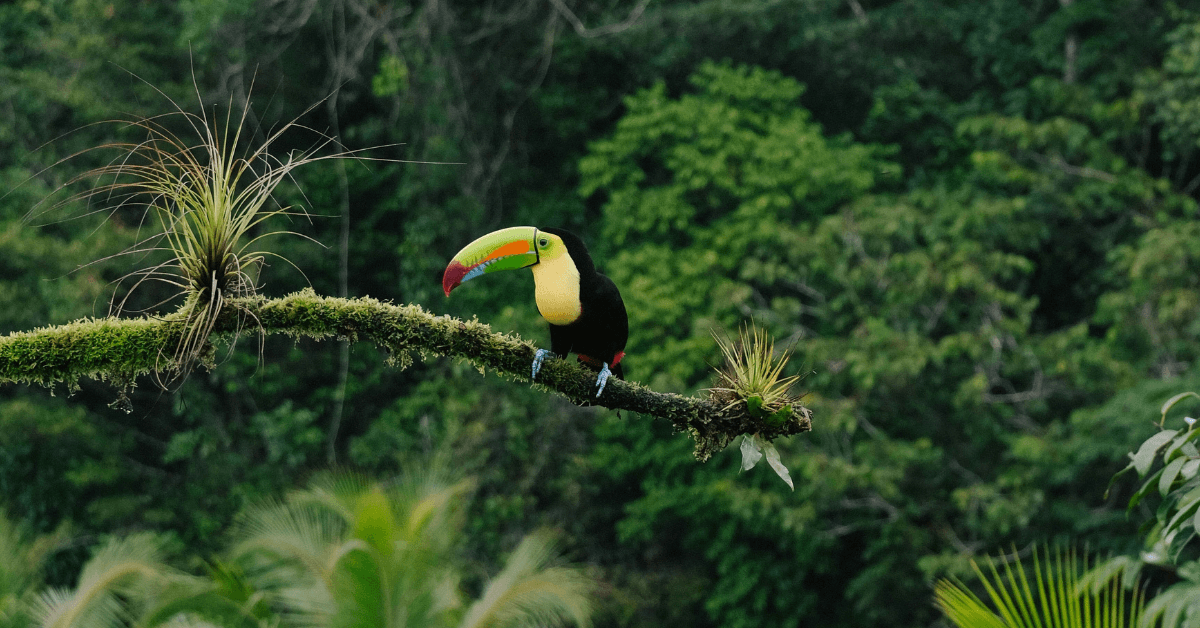 Charity Ace Launches ‘The Costa Rica Effect’ Program to Transform Nonprofit Fundraising Through Impact Travel