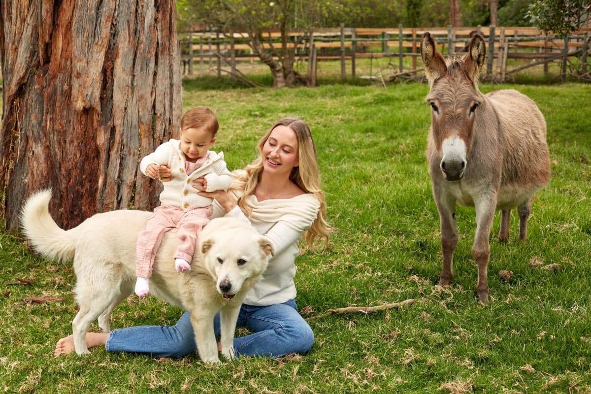 Search Atlas Founders Open Animal Sanctuary in Colombia, Providing Permanent Refuge for Rescued Animals