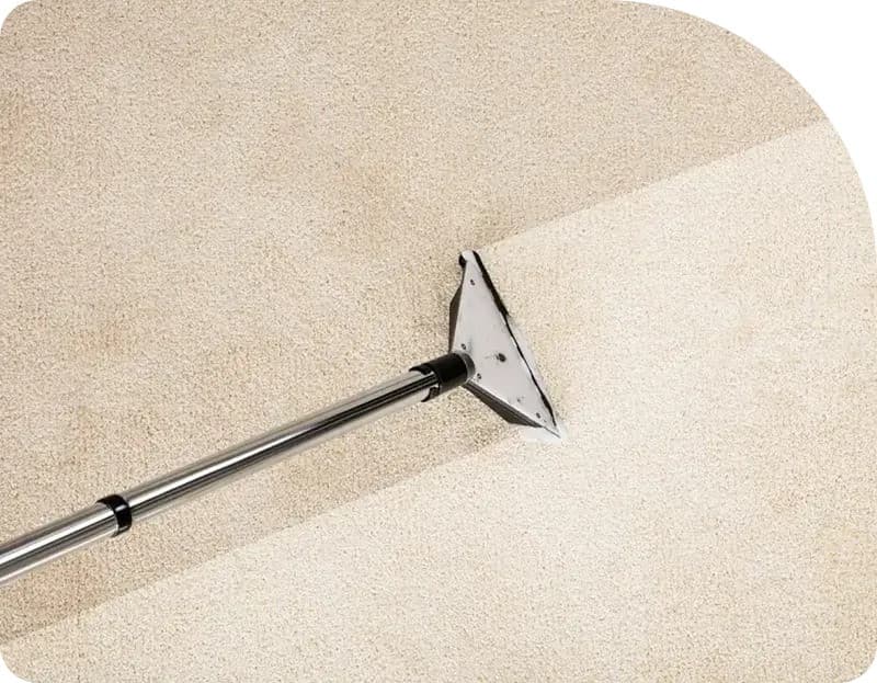 Flood Squad Elevates Water Damage Restoration Standards in Sydney with Advanced Technology