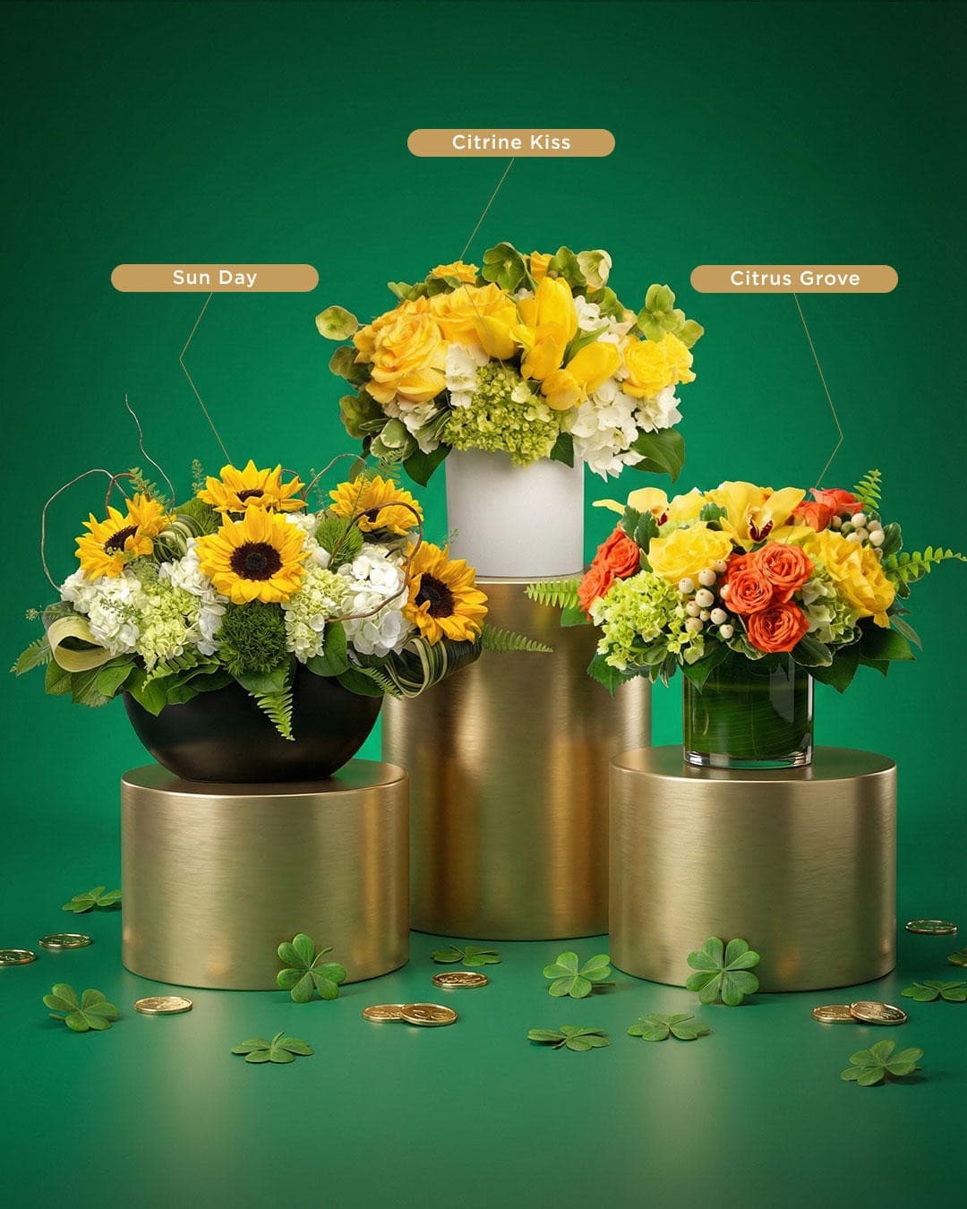 Juno Beach Florist Launches Signature Orchid Collection to Elevate Coastal Interior Design