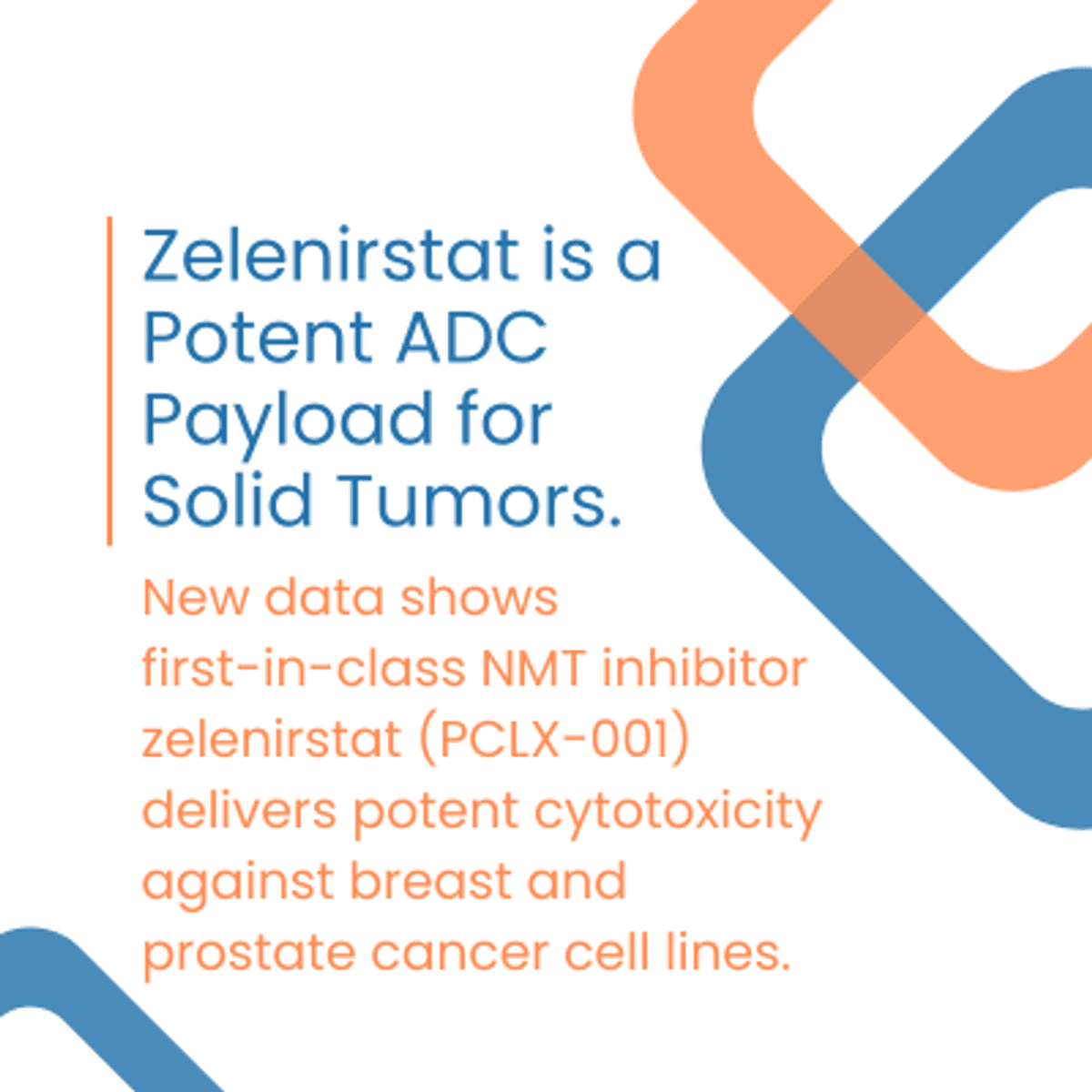Pacylex and Heidelberg Pharma Present Positive Data on Zelenirstat Antibody Drug Conjugates at World ADC