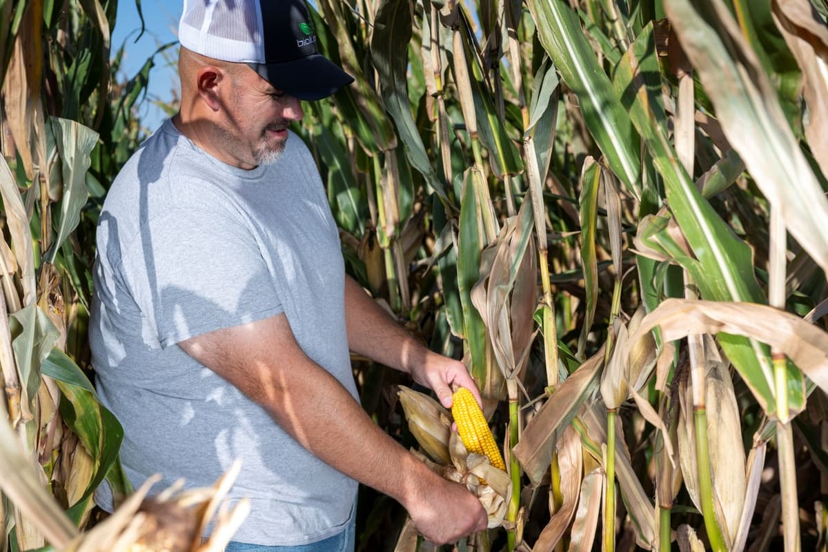 BioLumic Expands Light-Activated Seed Trait Platform to South America with Partnerships