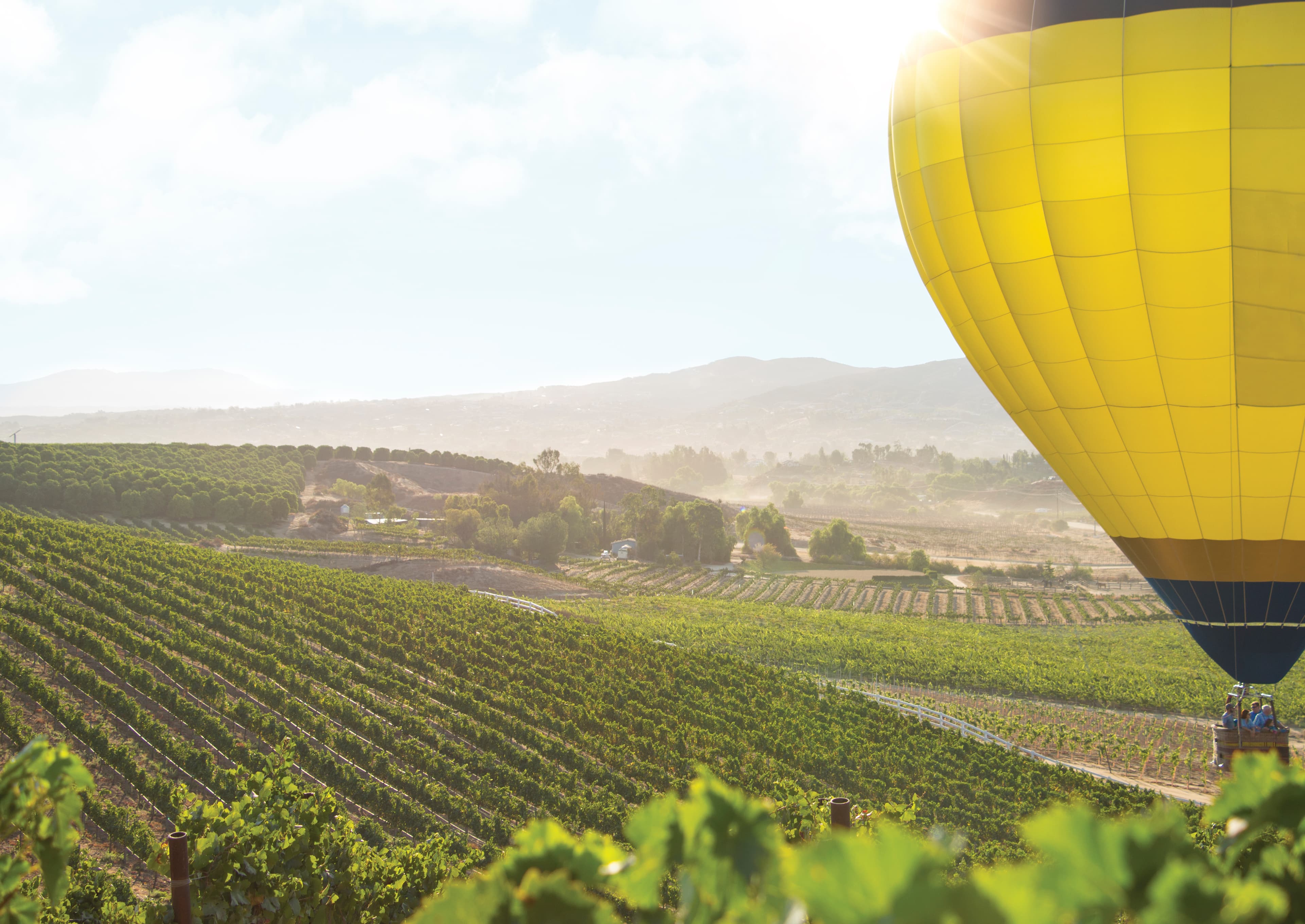 SoCal Wine Country EDC Highlights Skilled Workforce and Veteran Talent as Key Economic Assets