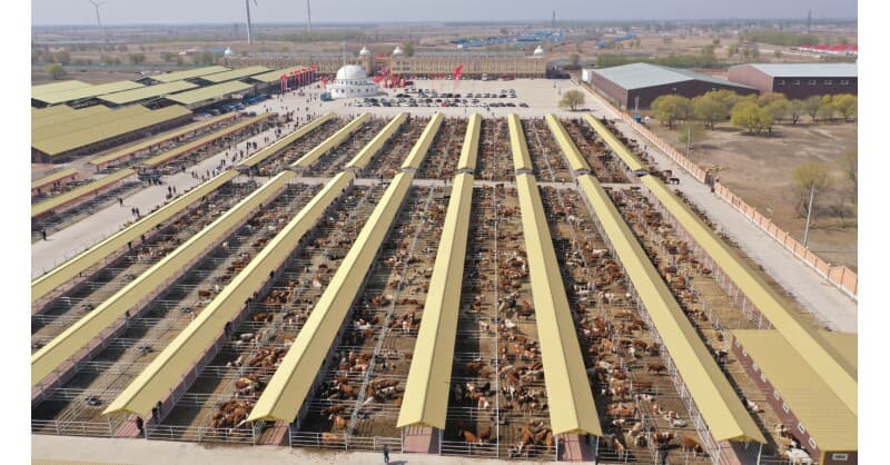 Hinggan League's Agricultural, Cultural and Tourism Consumption Carnival Opens in Beijing, Showcasing Regional Brands