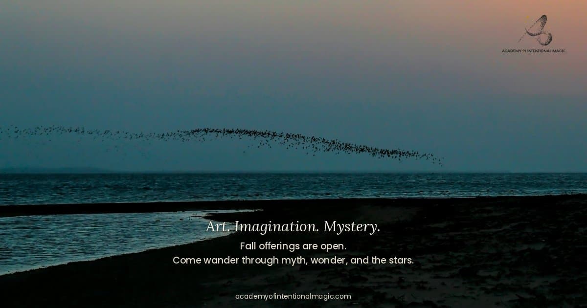 Academy of Intentional Magic Launches as a Creative Commons for Artists